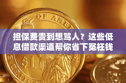 北京担保费贵到想骂人？这些低息借款渠道帮你省下冤枉钱