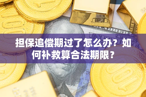 北京担保追偿期过了怎么办？如何补救算合法期限？