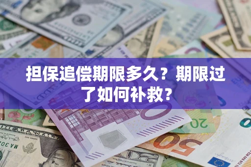 北京担保追偿期限多久？期限过了如何补救？
