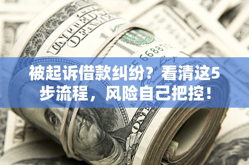 北京被起诉借款纠纷？看清这5步流程，风险自己把控！